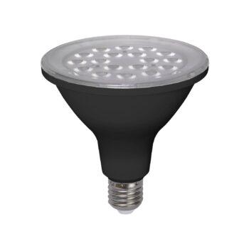LED svetelný zdroj Reflektor PAR38, E27, 13 W, 2700 K 1500 lm