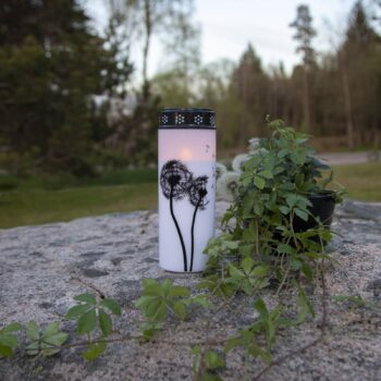 LED svetlo na hrob Dandelion, 21 cm biela/čierna plastová batéria