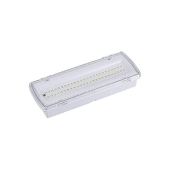 LED svetlo únikovej cesty Wasen zapustené na povrch, IP65 4000K