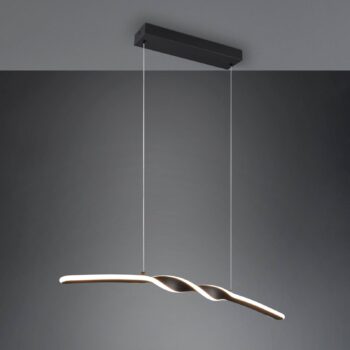 LED závesné svietidlo Ginko, čierne matné, kov, dĺžka 79 cm