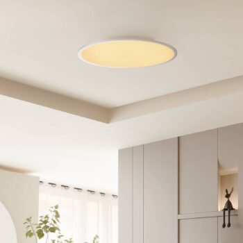 Lindby LED stropné svietidlo Narima, CCT, Ø 60 cm, strieborná