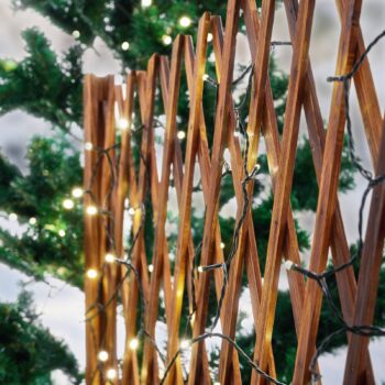 Lindby LED svetelná reťaz Kaloyan, 200 svetiel, zástrčka, 2,3 m