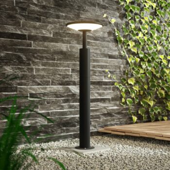 Lucande LED svetlo na chodník Fenia, 60 cm, antracit, IP65