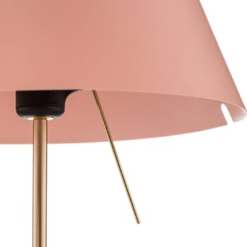 Luceplan Costanzina stolná lampa mosadz ružová