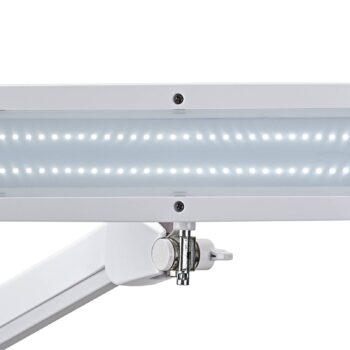 MAULintro LED pracovné svetlo, biele, 52 cm, podstavec so svorkou