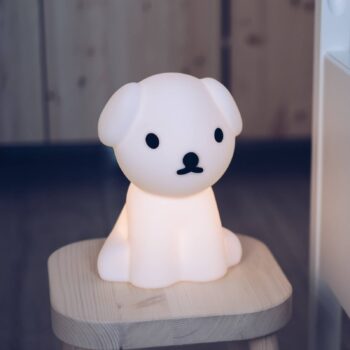 Nabíjacia lampa First Light, 23 cm, pán Maria Snuffy