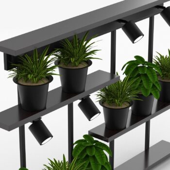 Nástenné svetlo Shelf, čierne, šírka 102 cm, drevo, 4-pl.