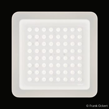 Nimbus Modul Q 64 LED svetlo, 940