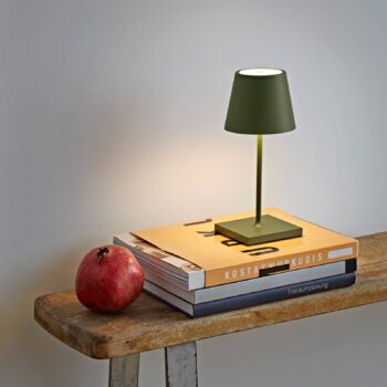 Nuindie mini LED dobíjacia stolná lampa, USB-C, jedľovo zelená, stmievateľná