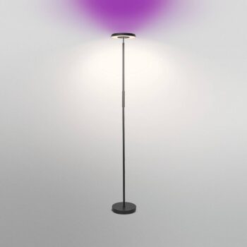 OSRAM SMART+ WiFi LED stojacia lampa, čierna, hore/dole, RGB CCT