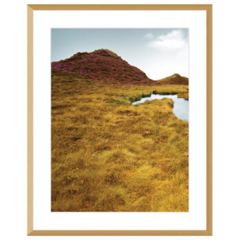 Obraz Grassy Field I 40x50cm, 40x50cm