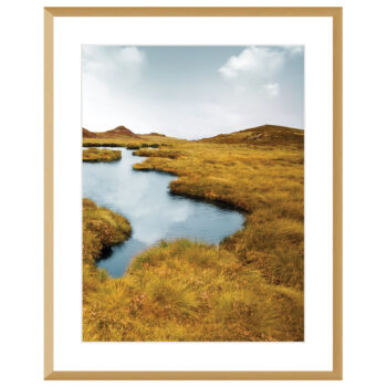 Obraz Grassy Field II 40x50cm, 40x50cm