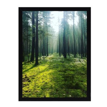 Obraz Green Forest 30x40cm, 30 x 40 cm