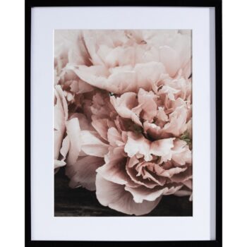 Obraz Peony Sunset I 40x50cm, 40x50cm