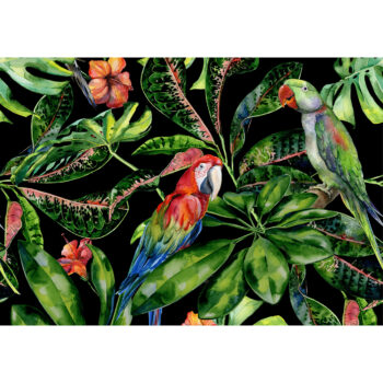 Obraz na plátne Tropical Birds, 50 x 35 cm