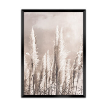 Obrázok Grass, 30 x 40 cm