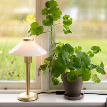 PR Home Stolová lampa August, mosadzová farba/opál, 34 cm, kov