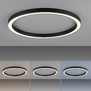 PURE stropné LED svetlo Lines, Ø 70 cm, antracitová, CCT, diaľkové ovládanie