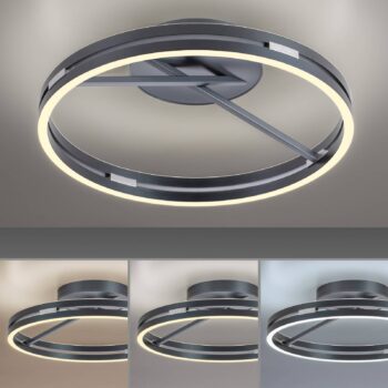 PURE stropné LED svetlo Loop, sivá, kov, Ø 60 cm, CCT