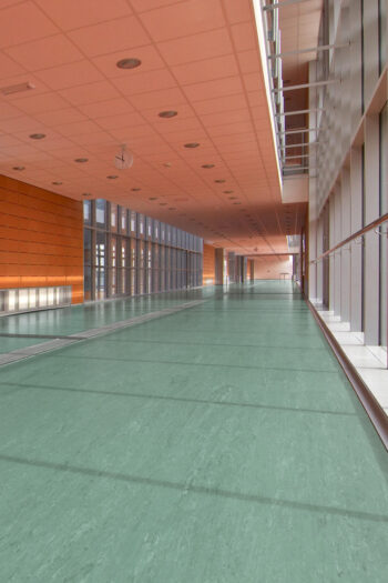 PVC Polyflor ULTRA XL PU 3810 hr. 2,0mm 200 cm