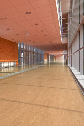 PVC Polyflor ULTRA XL PU 3900 hr. 2,0mm 200 cm