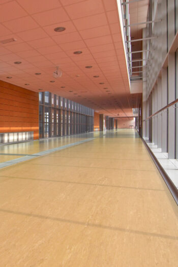 PVC Polyflor ULTRA XL PU 3910 hr. 2,0mm  200 cm