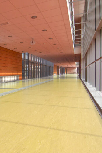 PVC Polyflor ULTRA XL PU 3920 hr. 2,0mm  200 cm