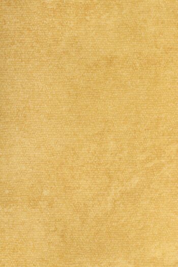 PVC Xtreme ROXANNE 220M 200 cm
