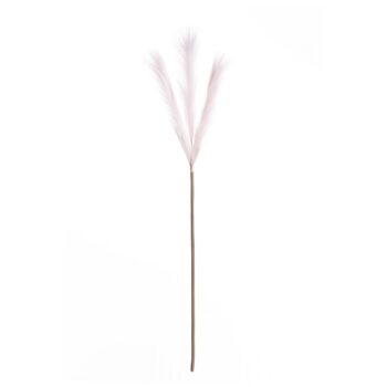 Pampová tráva 100cm light pink, 2 x 2 x 100 cm