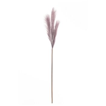 Pampová tráva 100cm light violet, 2 x 2 x 100 cm