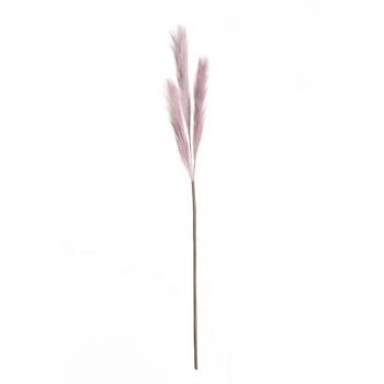 Pampová tráva 100cm lilac, 2 x 2 x 100 cm