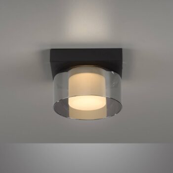 Paul Neuhaus LED stropné svietidlo Rika, Ø 15 cm, sklo, stmievateľné