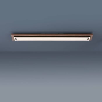 Paul Neuhaus Palma stropné LED svietidlo CCT dlhé