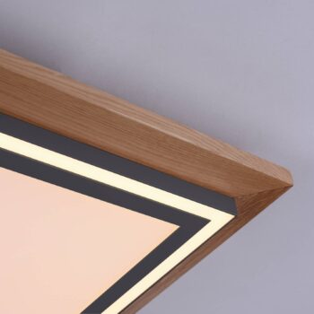 Paul Neuhaus Palma stropné LED svietidlo CCT dlhé