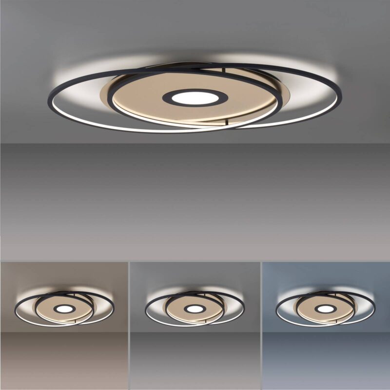 Paul Neuhaus Q-AMIRA stropné LED ovál, čierne Paul Neuhaus Q-AMIRA stropné LED ovál, čierne