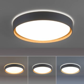Paul Neuhaus Q-EMILIA stropné LED, sivá/drevo