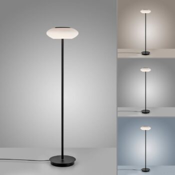 Paul Neuhaus Q-ETIENNE stojaca LED lampa, čierna