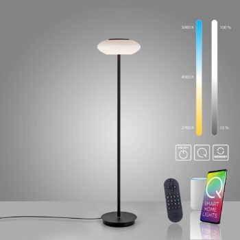Paul Neuhaus Q-ETIENNE stojaca LED lampa, čierna