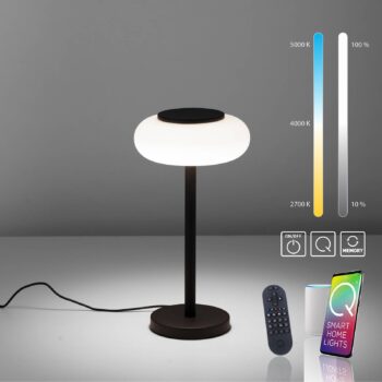 Paul Neuhaus Q-ETIENNE stolová LED lampa, čierna