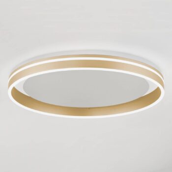 Paul Neuhaus Q-VITO LED stropné svietidlo, Ø 60 cm
