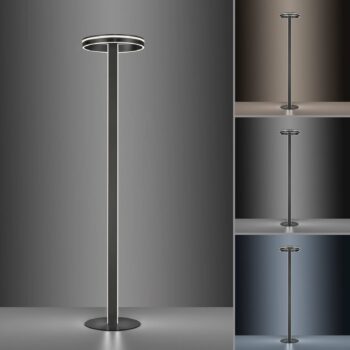 Paul Neuhaus Q-VITO stojaca LED lampa, antracitová