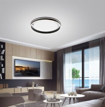 Paul Neuhaus Q-VITO stropné LED 79 cm, antracit