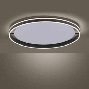 Paul Neuhaus Q-VITO stropné LED 79 cm, antracit