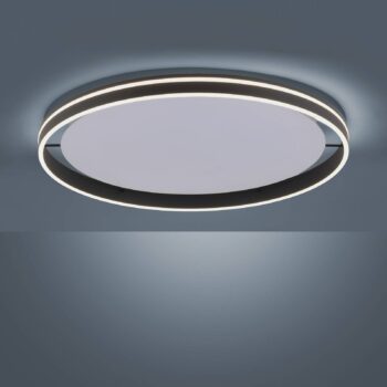 Paul Neuhaus Q-VITO stropné LED 79 cm, antracit