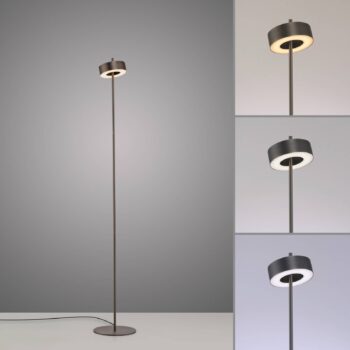 Paul Neuhaus Smart LED stojacia lampa Q-Rotate tmavohnedá 140 cm