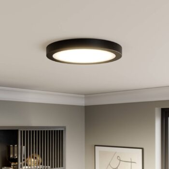 Paulmann Abia LED panel Ø 30cm 2 700K čierna matná