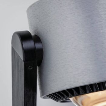 Paulmann LED stojacia lampa Aldan, kov, nastaviteľná, stmievateľná