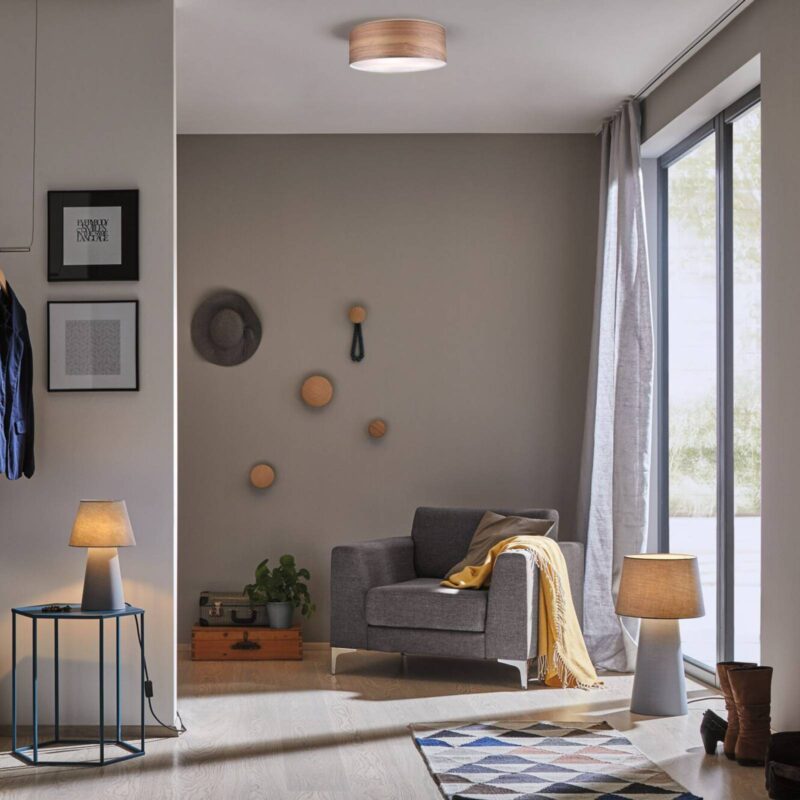 Paulmann Liska svietidlo s dreveným tienidlom Paulmann Liska svietidlo s dreveným tienidlom