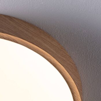 Paulmann Tega stropné LED svetlo IP44 CCT drevo