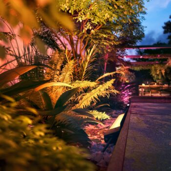 Philips Hue WACA Amarant podlahová lišta 24V